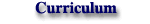 ICAPP - Curriculum